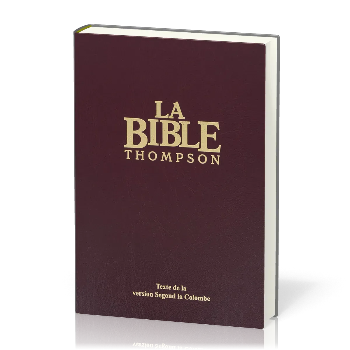 BIBEL SEGOND, THOMPSON, ROT, STUDIENBIBEL, GRIFFREGISTER