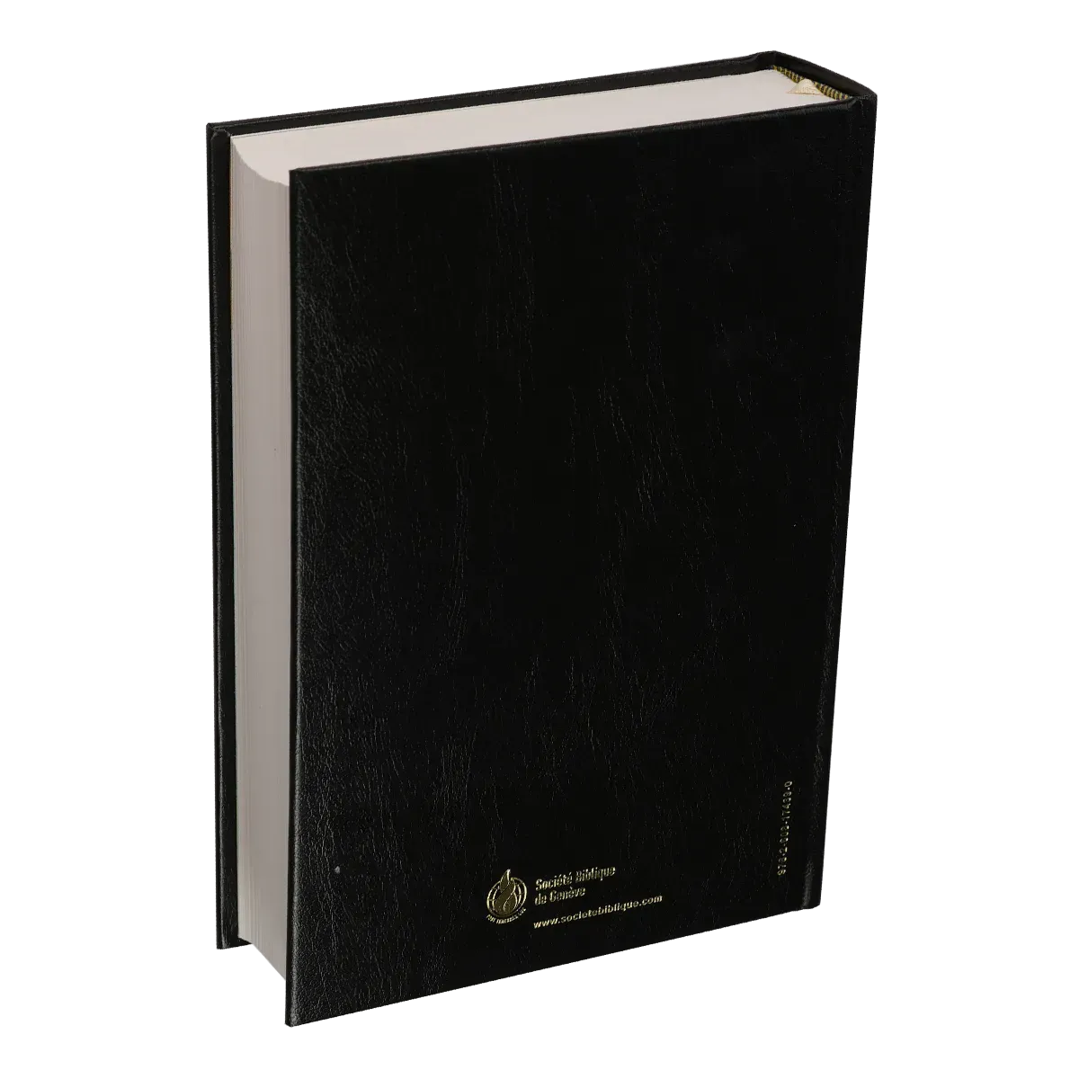 Studienbibel Segond NEG MacArthur, französisch - Hardcover, Skyvertex schwarz