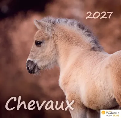 Chevaux, Merveilles de la création - Calendrier de table