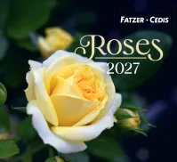 Roses - Petit calendrier avec 12 magnifiques photos de roses