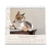 Chats (Les) - Petit calendrier avec 12 belles photos de chats