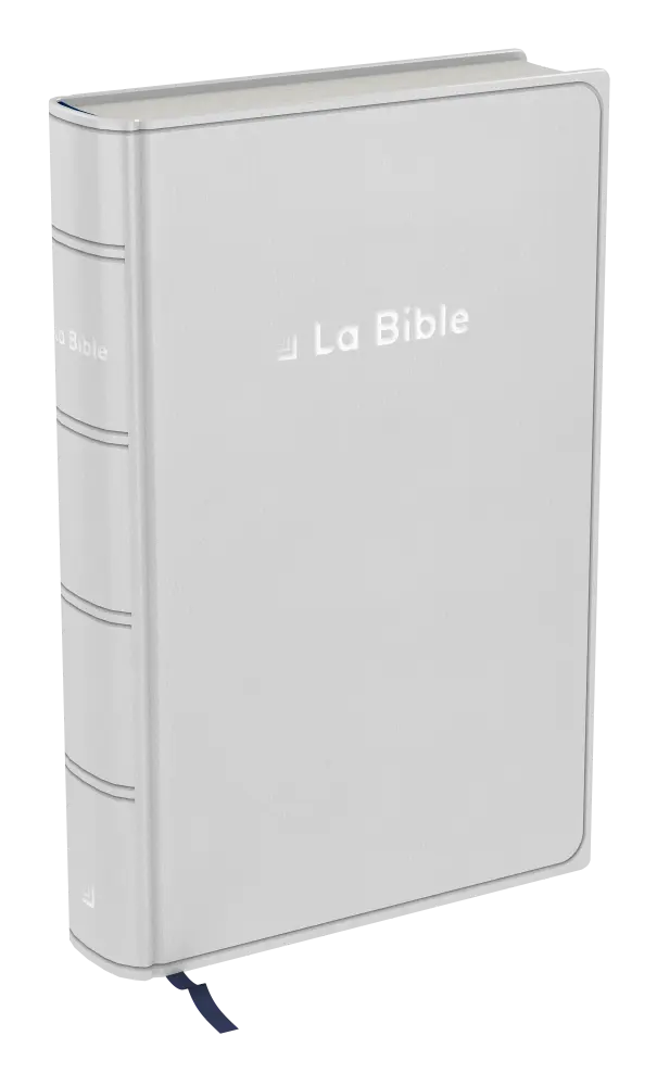 Bible Darby révisée format standard, souple gris, tranche argent
