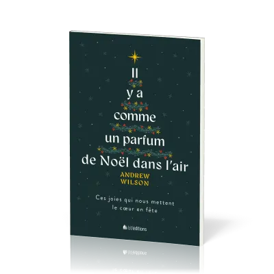 Il y a comme un parfum de Noël dans l'air - Ces joies qui nous mettent le cœur en fête