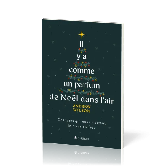 Il y a comme un parfum de Noël dans l'air - Ces joies qui nous mettent le cœur en fête