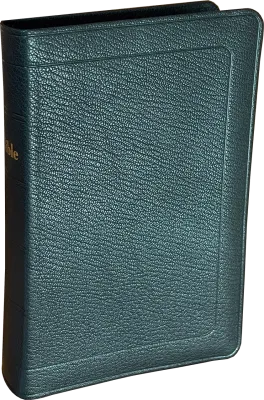 Bible Darby, format compact, cuir véritable noir, avec boîtier