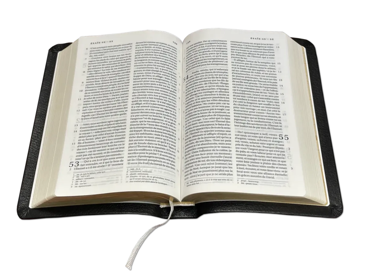 Bible Darby, format compact, cuir véritable noir, avec boîtier