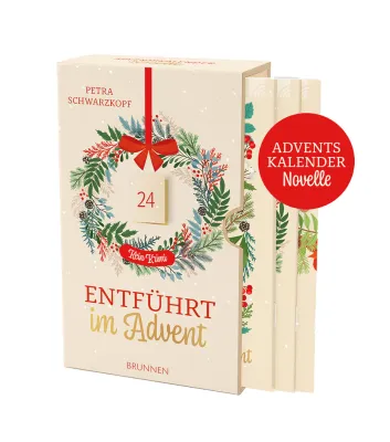 Entführt im Advent - kein Krimi - Adventskalendernovelle