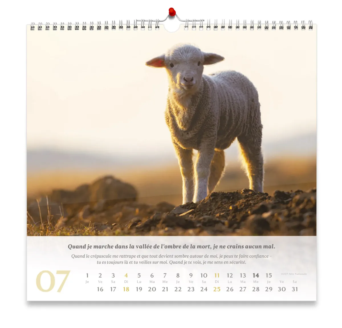 Psaume 23 - Grand format - calendrier mural