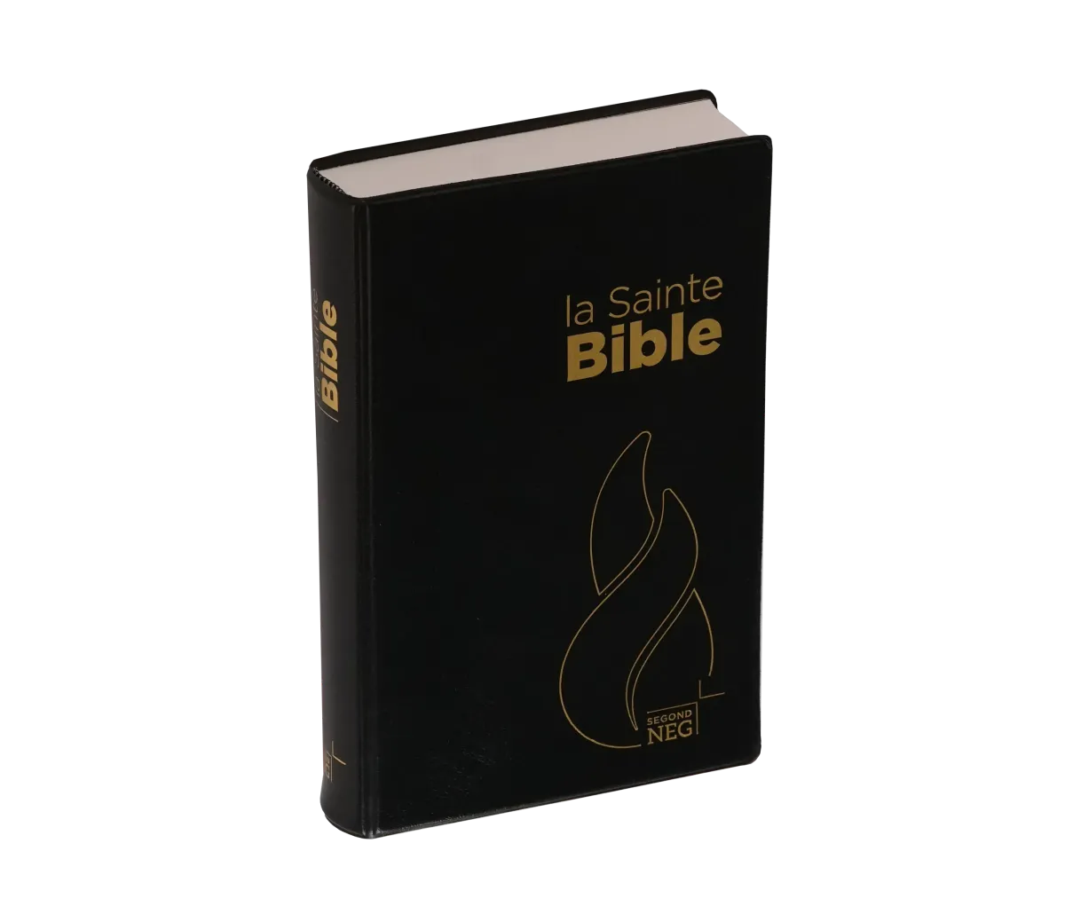 BIBEL NEG, KOMPAKT, PLASTIK, SCHWARZ