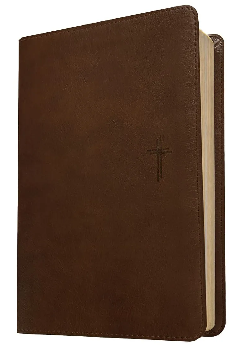 Anglais, Bible, New Living Translation, similicuir brun, paroles de Jésus en rouge - NLT Compact...