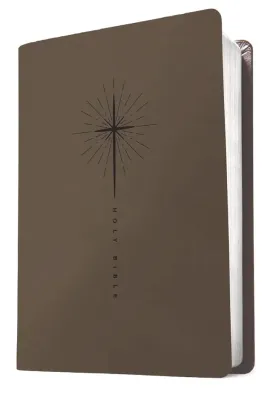 Englisch, Bibel New Living Translation, biegsam, Kunstleder, grau