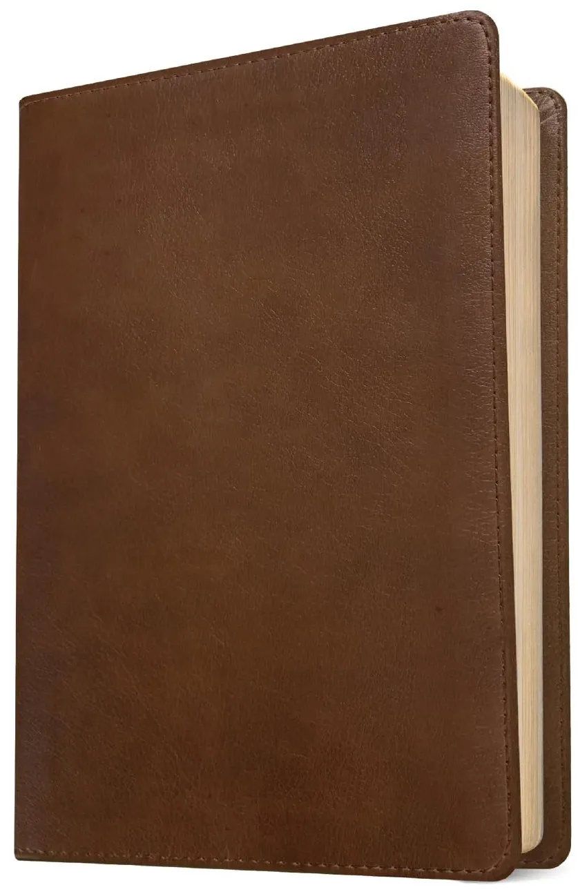 Englisch, Bibel New Living Translation, Grossdruck, Kunstleder, braun