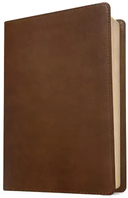 Englisch, Bibel New Living Translation, Grossdruck, Kunstleder, braun