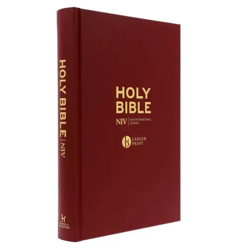 Englisch, Bibel New International Version, Grossdruck, bordeaux