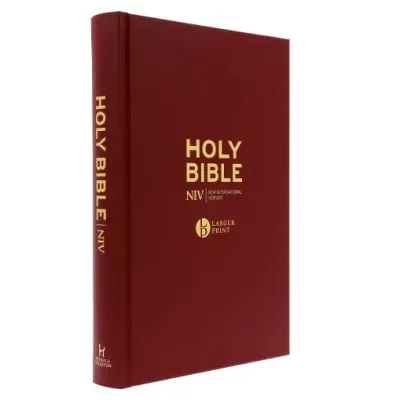 Englisch, Bibel New International Version, Grossdruck, bordeaux