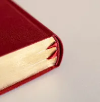 Bible Darby édition de Rolle, format moyen, textile bordeaux, semi-rigide, tranche or