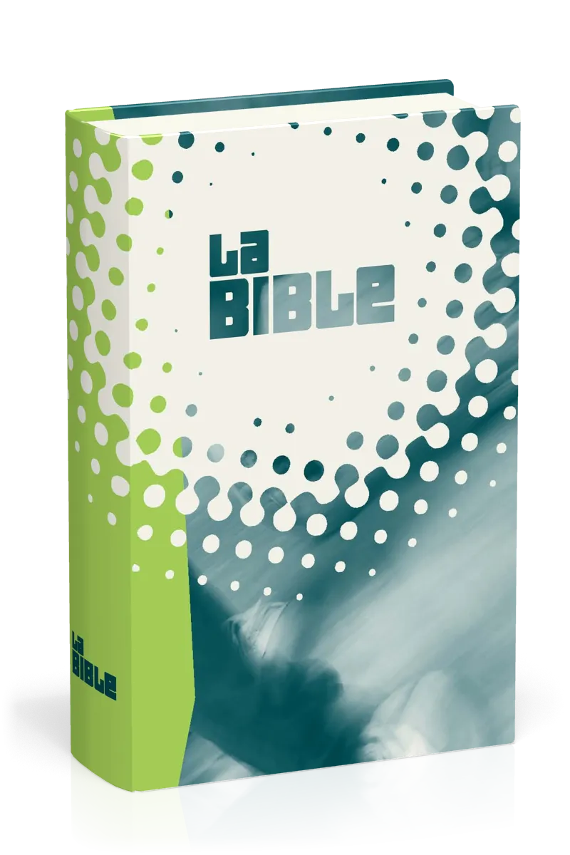 BIBEL NEG MINIATUR GEBUNDEN ILLUSTR. EINBAND SPLASH