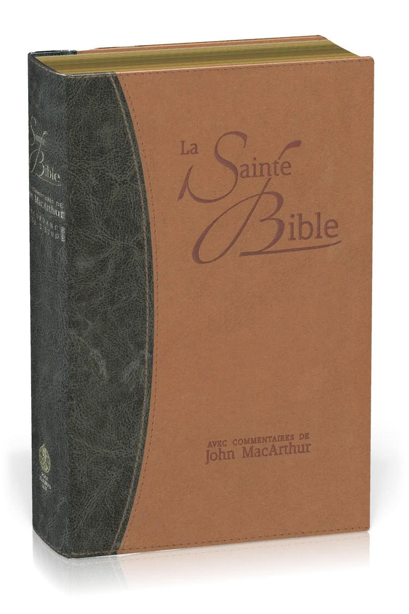BIBEL NEG MACARTHUR, BIEGSAMES LEDERIMITAT, GOLDSCHNITT, BLAU/BEIGE