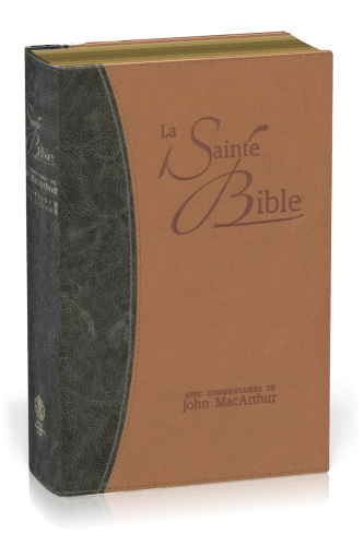BIBEL NEG MACARTHUR, BIEGSAMES LEDERIMITAT, GOLDSCHNITT, BLAU/BEIGE