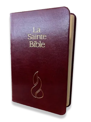 BIBEL NEG, MINIATUR, FIBROLEDER, GOLDSCHNITT, ROT