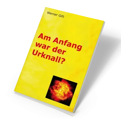 Am Anfang war der Urknall?