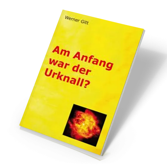 Am Anfang war der Urknall?