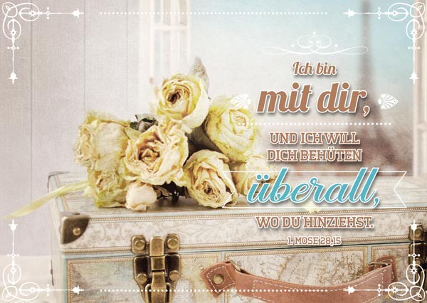 PK GELBE ROSEN AUF KOFFER, 12 STÜCK - POSTKARTE