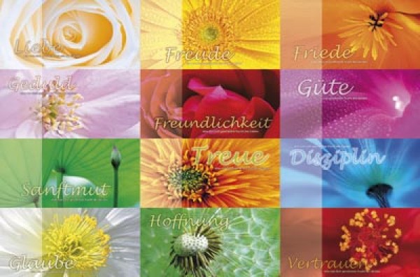 Maxi Postkarten Serie Frucht des Geistes 3 - 12 Stück pro Päckchen