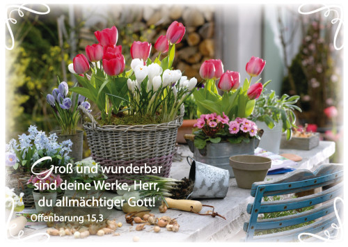 PK TULPEN IM KORB, 12 STÜCK - POSTKARTE