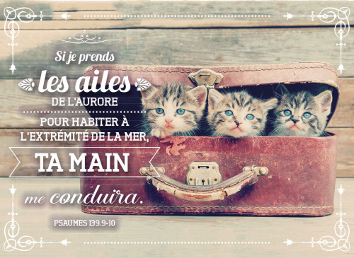 Magnet « Si je prends les ailes de l'aurore […] » - Ps 139.9-10