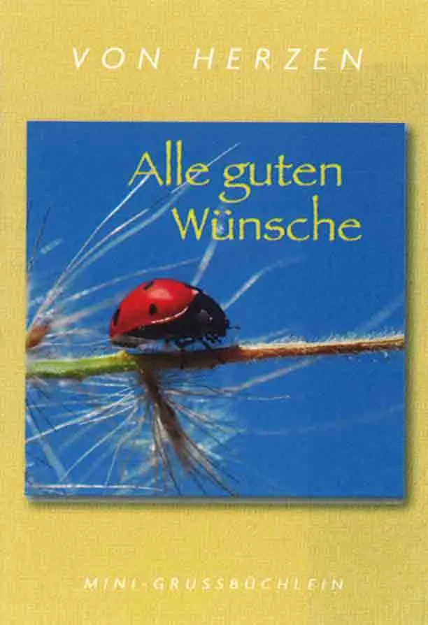 KARTE MIT MINI-GRUSSBÜCHLEIN - ALLE GUTEN WÜNSCHE