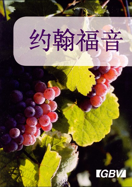 Chinesisch (Mandarin), Johannes Evangelium