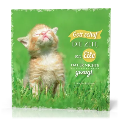 Metalltafel Gott schuf die Zeit/Katze - 13 x 13 cm