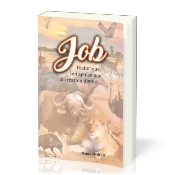 Job historique, Job apaisé par la création divine…