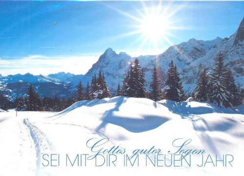 Postkarte Neujahr Winterlandschaft - 12 Stück pro Päckchen