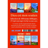 Dieu est mon soutien - Boîte de 100 mini-cartes avec versets