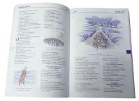 Bible Parole de Vie, illustrée - couverture souple, sans deutérocanoniques