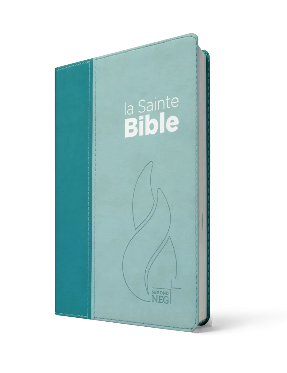 Segond NEG Bibel kompakt, französisch - Softcover, Vivella Duo Lagunenblau und Himmelblau