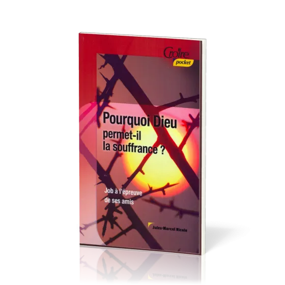 Pourquoi Dieu permet-il la souffrance? - Job à l'épreuve de ses amis