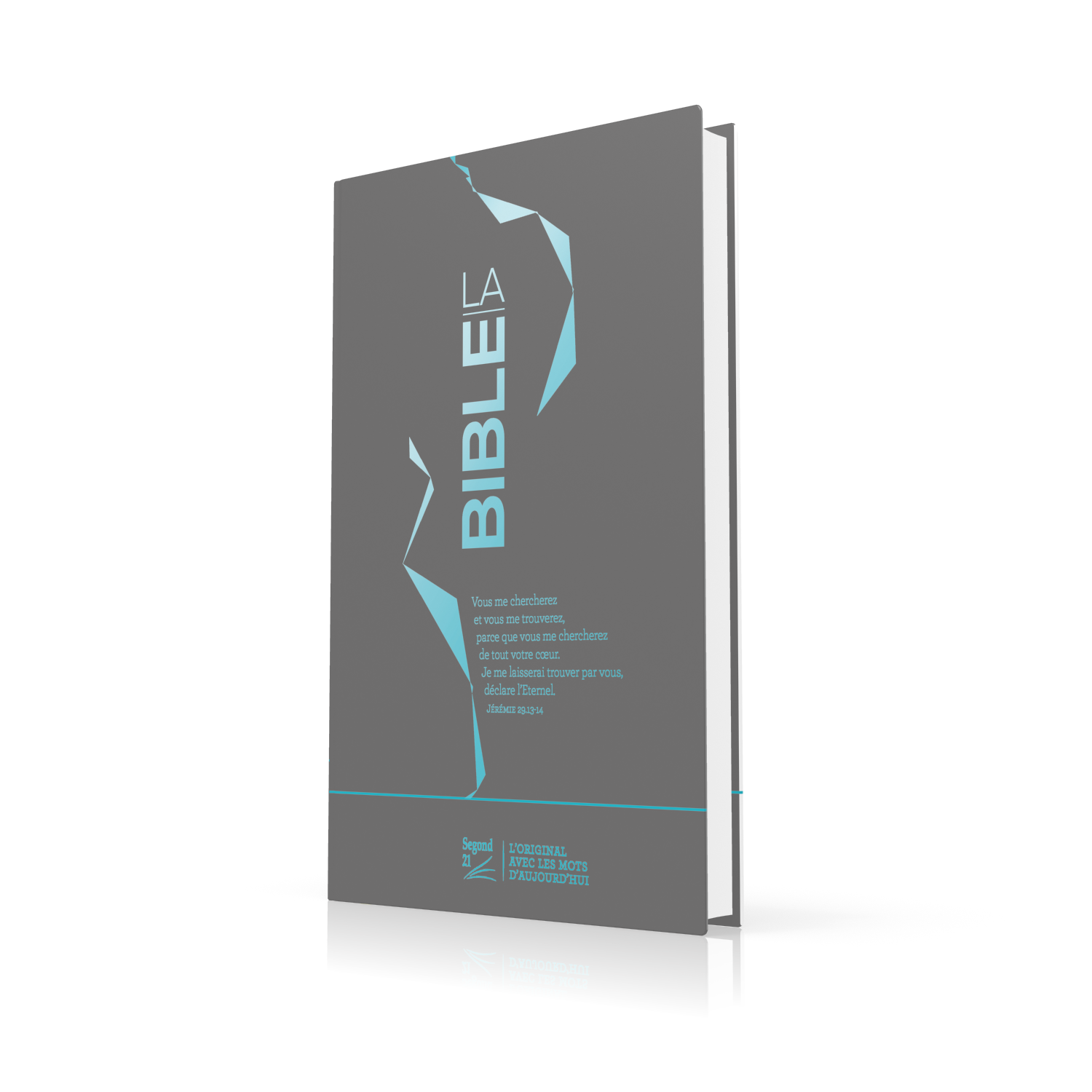 Segond 21 Slim Bibel, französisch, silberne Motive blau - Hardcover