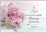 Postkartenbox Herzliche Worte - 12 verschiedene Postkarten in einer Box mit Magnetverschluss