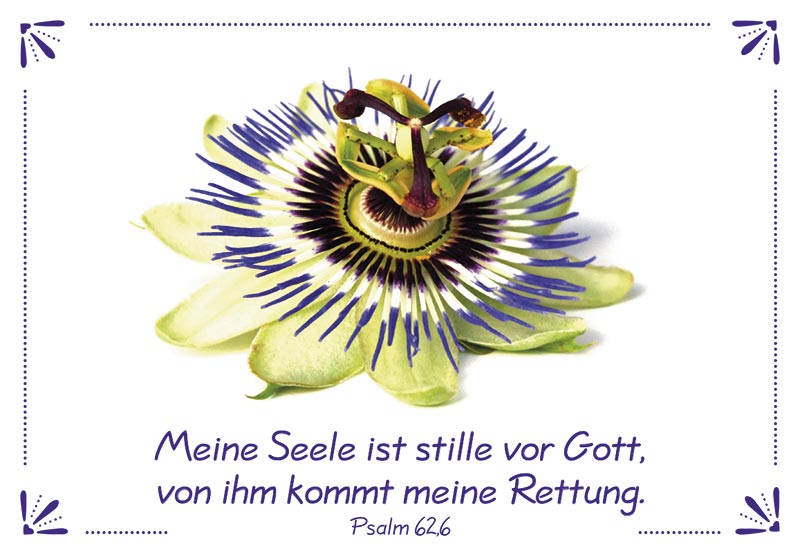 Neujahrslose 100 Stück Blumen