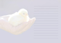 Grussheft mit Briefumschlag Herzliche Grüsse