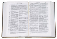 Bibel Schlachter 2000, Taschenausgabe - Motiv Tulpe - Parallelstellen - neue Rechtschreibung -...