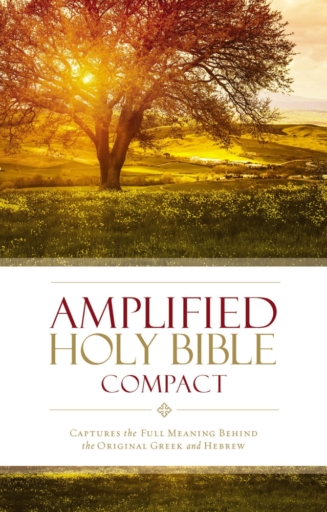 Englisch, Bibel Amplified, kompakt, kartonniert, illustrierter Einband