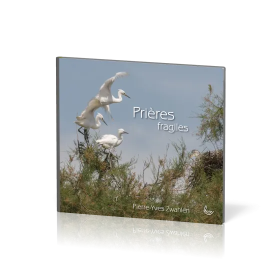 Prières fragiles