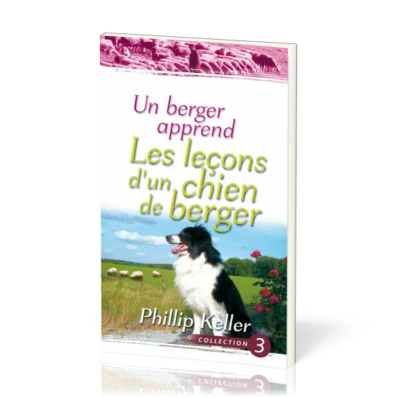 Un berger apprend - Les leçons d'un chien de berger