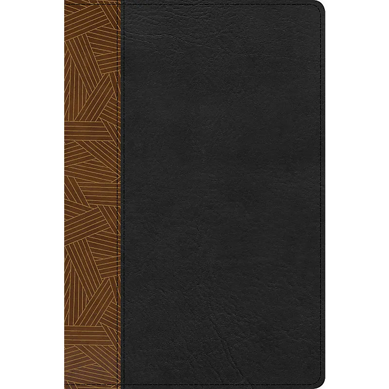 Spanisch, Bibel Reina Valera 1960, Kunstleder, Kaffee/Schwarz