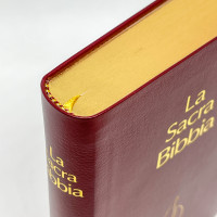 Italienisch, Bibel Nuova Riveduta, Mini, Fibroleder, Gebunden, Goldschnitt, Rot